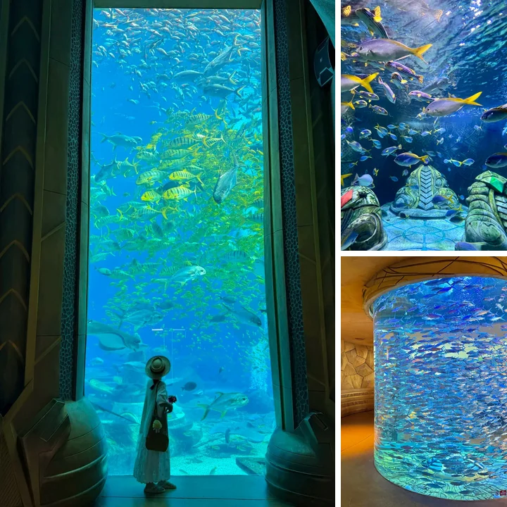 Atlantis · океанариум · 1