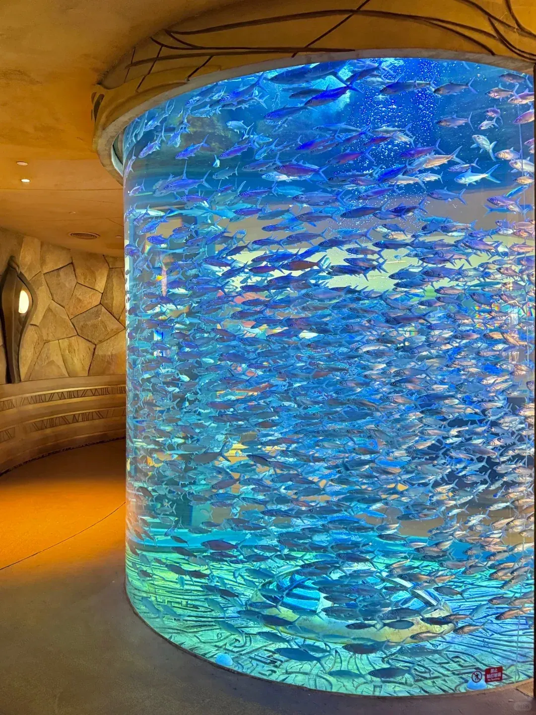 Atlantis · океанариум · 3