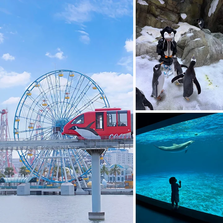 Fuli Ocean World · океанариум и мини-зоопарк · 1