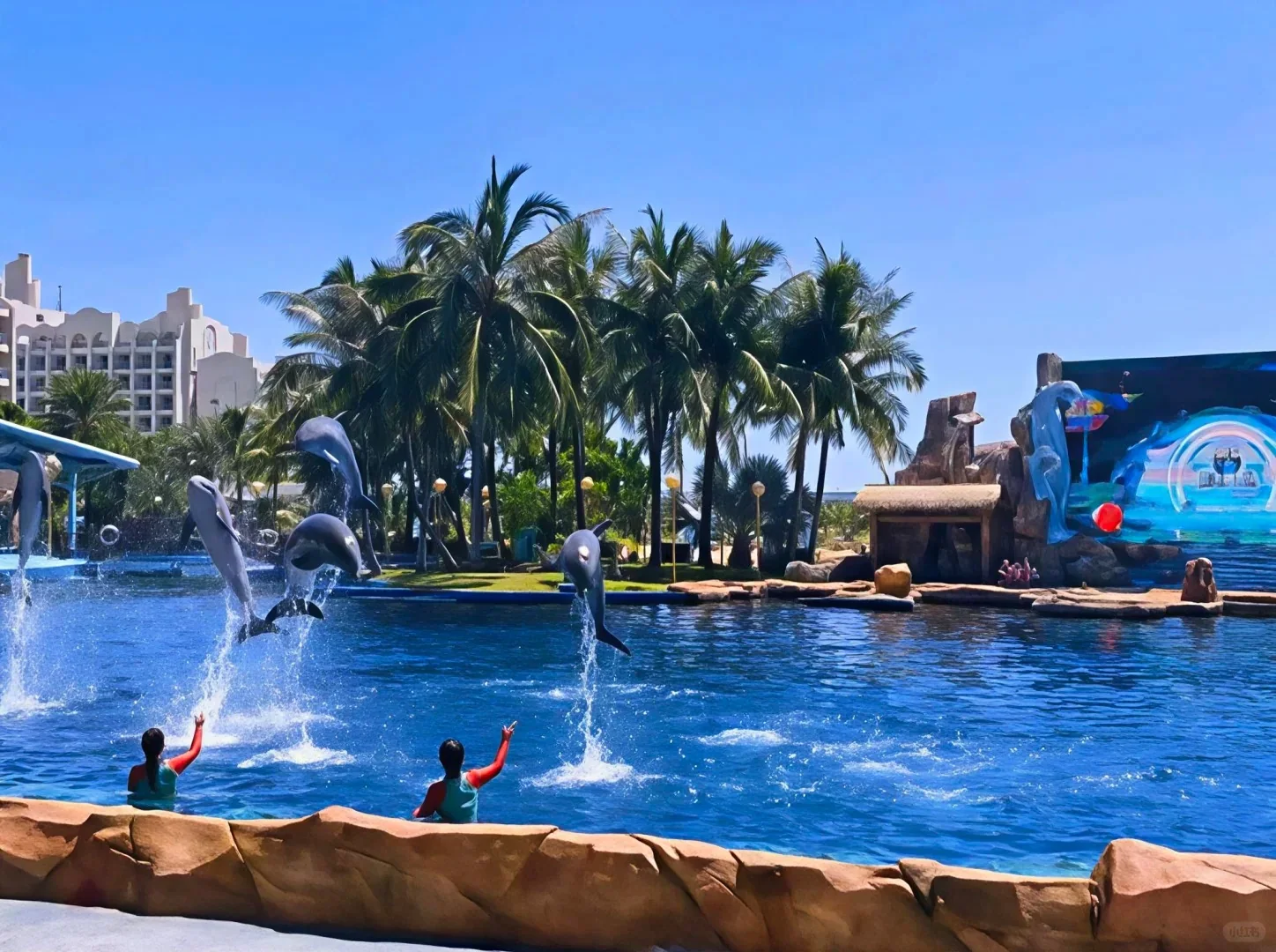 Fuli Ocean World · океанариум и мини-зоопарк · 3